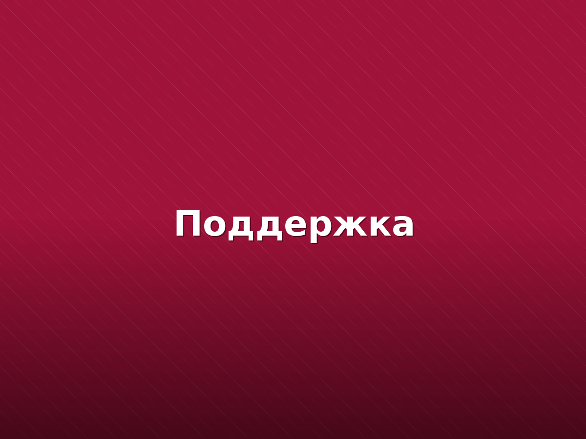 Поддержка «Стандарт» — 12 месяцев